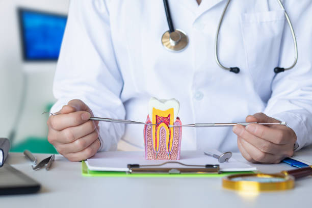 Best Cracked Tooth Emergency Dentist  in South Gull Lake, MI
